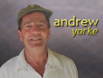 Andrew Yorke